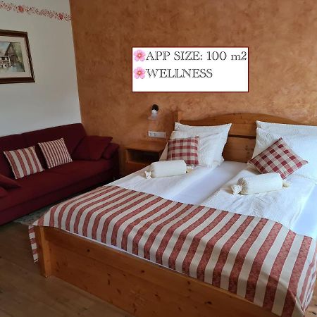 Ribnica na Pohorju Apartmaji Sitar מראה חיצוני תמונה